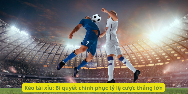Kèo tài xỉu: Bí quyết chinh phục tỷ lệ cược thắng lớn