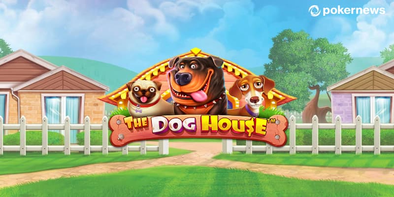 Biendo Đánh Giá Slot The Dog House Với Tính Năng Thưởng Mạnh